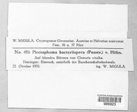 Image Associated With the Occurence